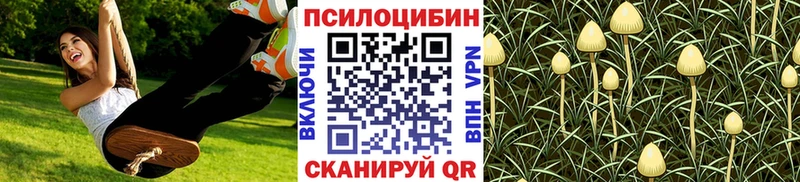 Галлюциногенные грибы GOLDEN TEACHER  Фрязино 